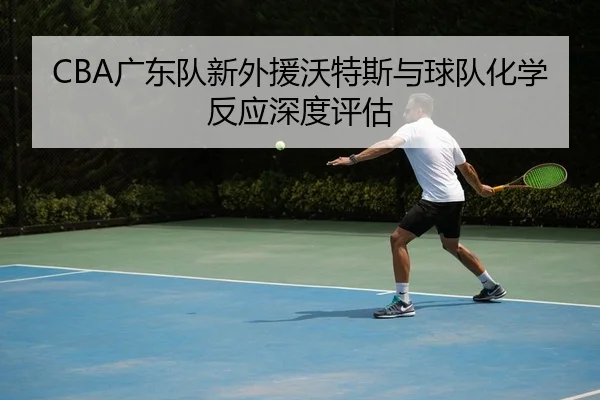 CBA广东队新外援沃特斯与球队化学反应深度评估